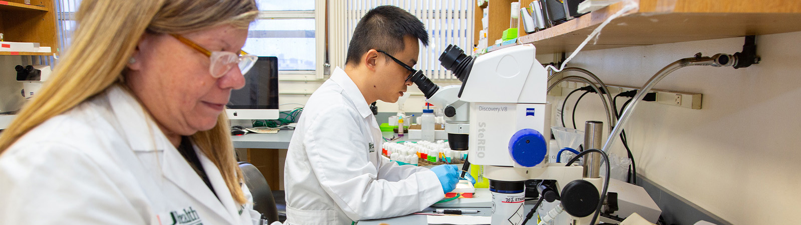 U Health's Xianzum Tao ( right) and Zoraido Diaz- Perez, Research Lab Specialist, work on genotyping fruit flies in Dr.  Grace Zhai's Fruit fly Lab in the Rosenstiel Medical Science Building.  
